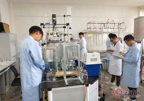 追夢綠水青山 看昆明理工大學(xué)科研團(tuán)隊(duì)如何低碳減排創(chuàng)發(fā)展