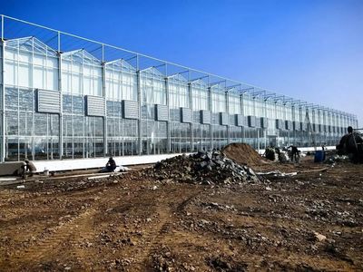 遼陽燈塔 瞄準(zhǔn)新科技，跑好水稻生產(chǎn)“第一棒”——工程和技術(shù)研究與試驗(yàn)發(fā)展