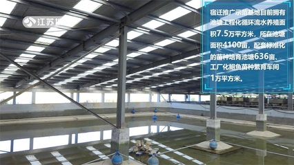 江蘇省淡水水產(chǎn)研究所 全力提升'江豐1號'良種覆蓋率